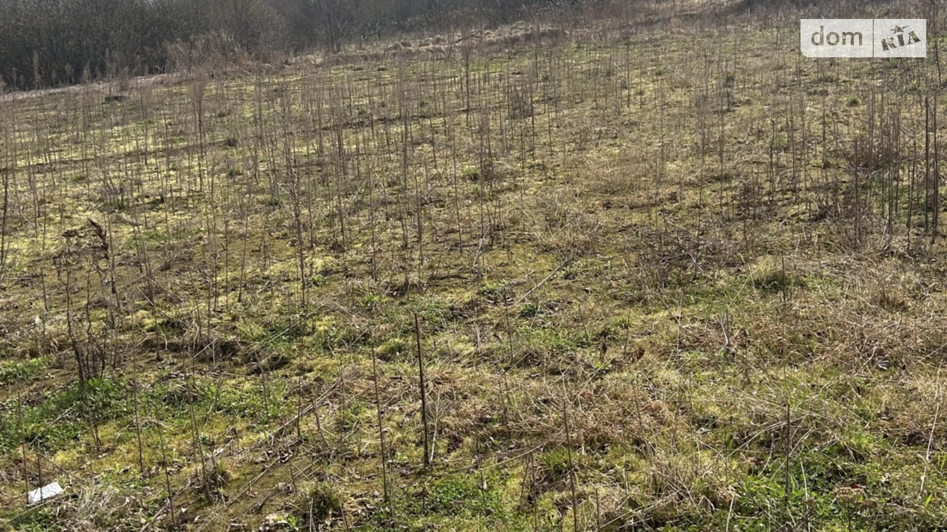 Продается земельный участок 10 соток в Львовской области, цена: 27000 $ - фото 3