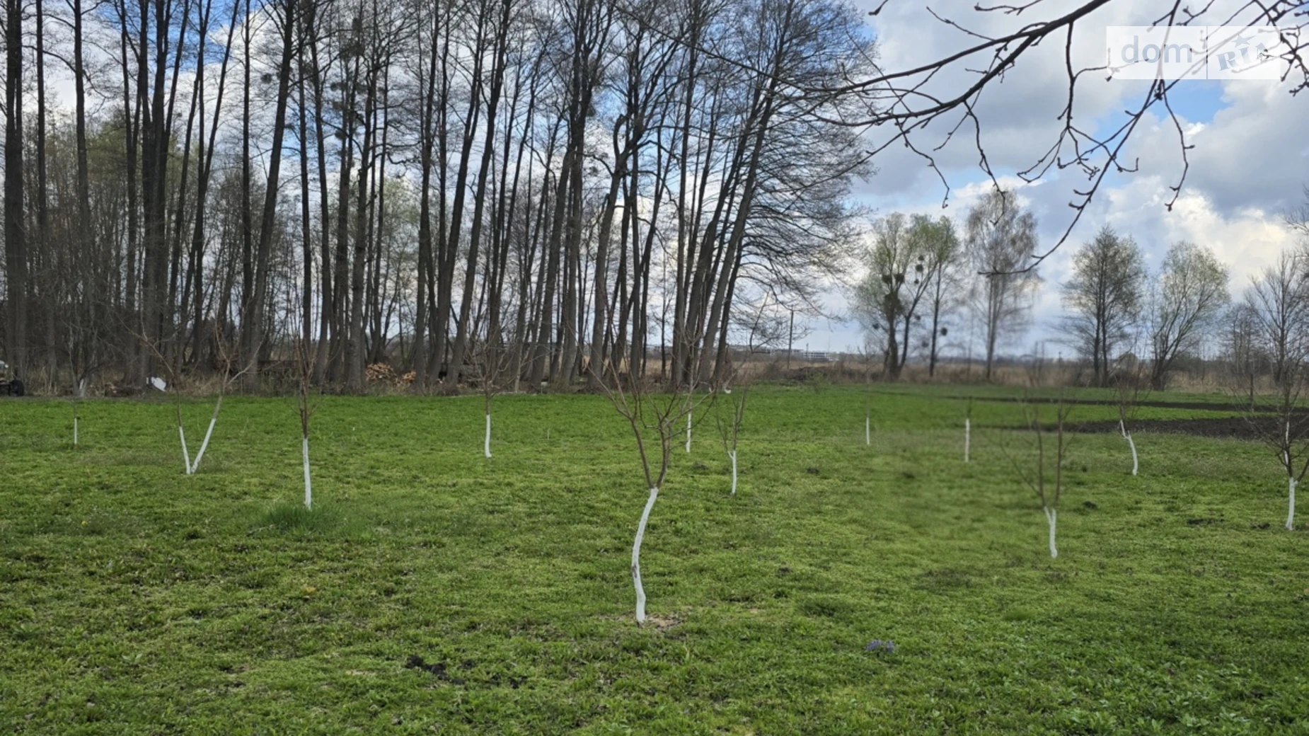 Продается земельный участок 20 соток в Киевской области, цена: 54000 $ - фото 5