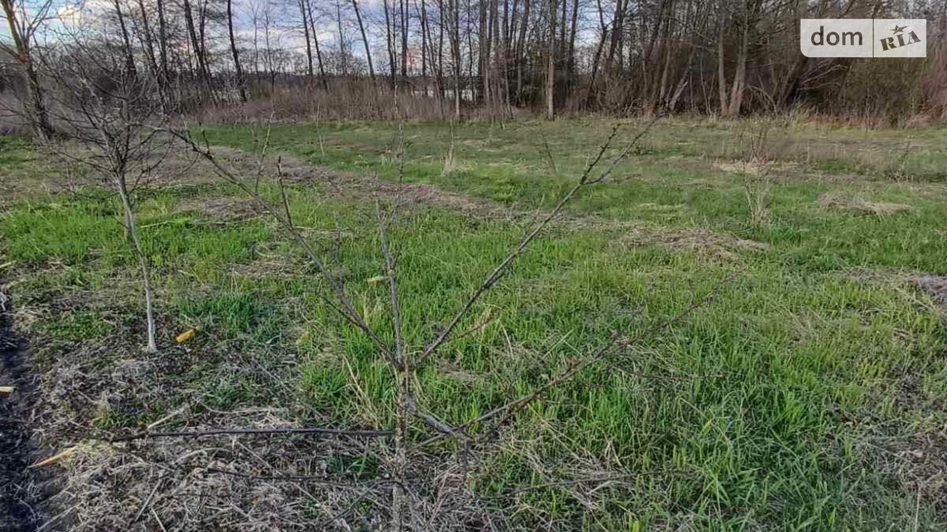 Продается одноэтажный дом 46 кв. м с подвалом, цена: 12000 $ - фото 4