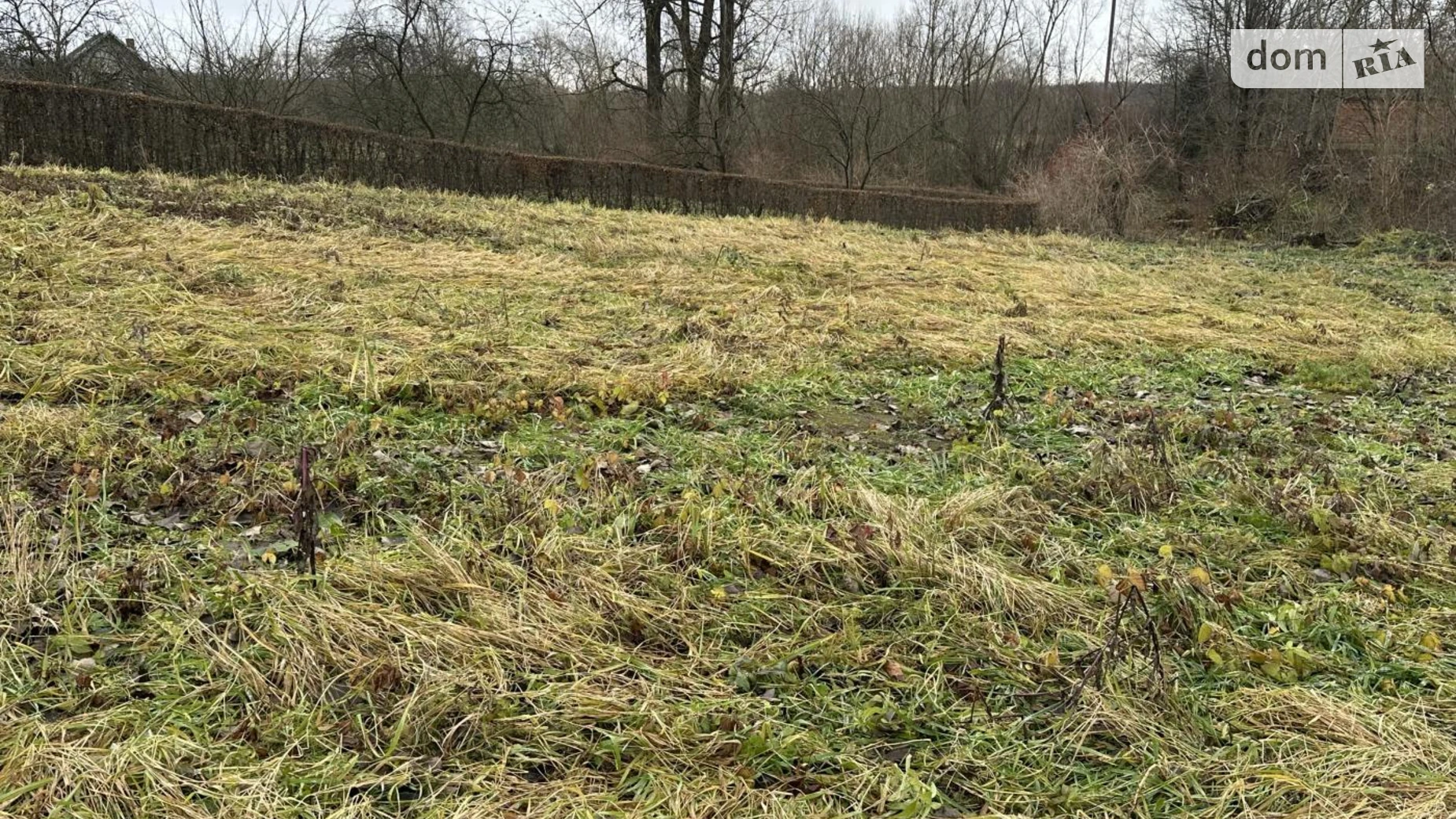 Продается одноэтажный дом 50.5 кв. м с садом, цена: 21500 $ - фото 5