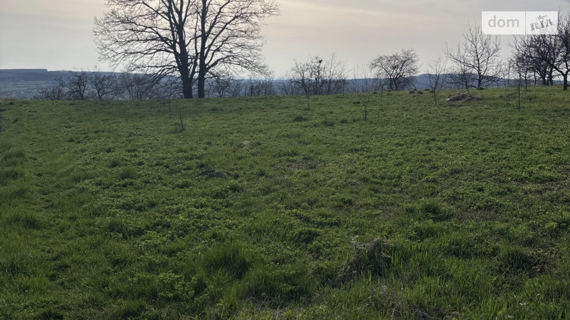 Продается земельный участок 0.25 соток в Черновицкой области, цена: 47000 $ - фото 3