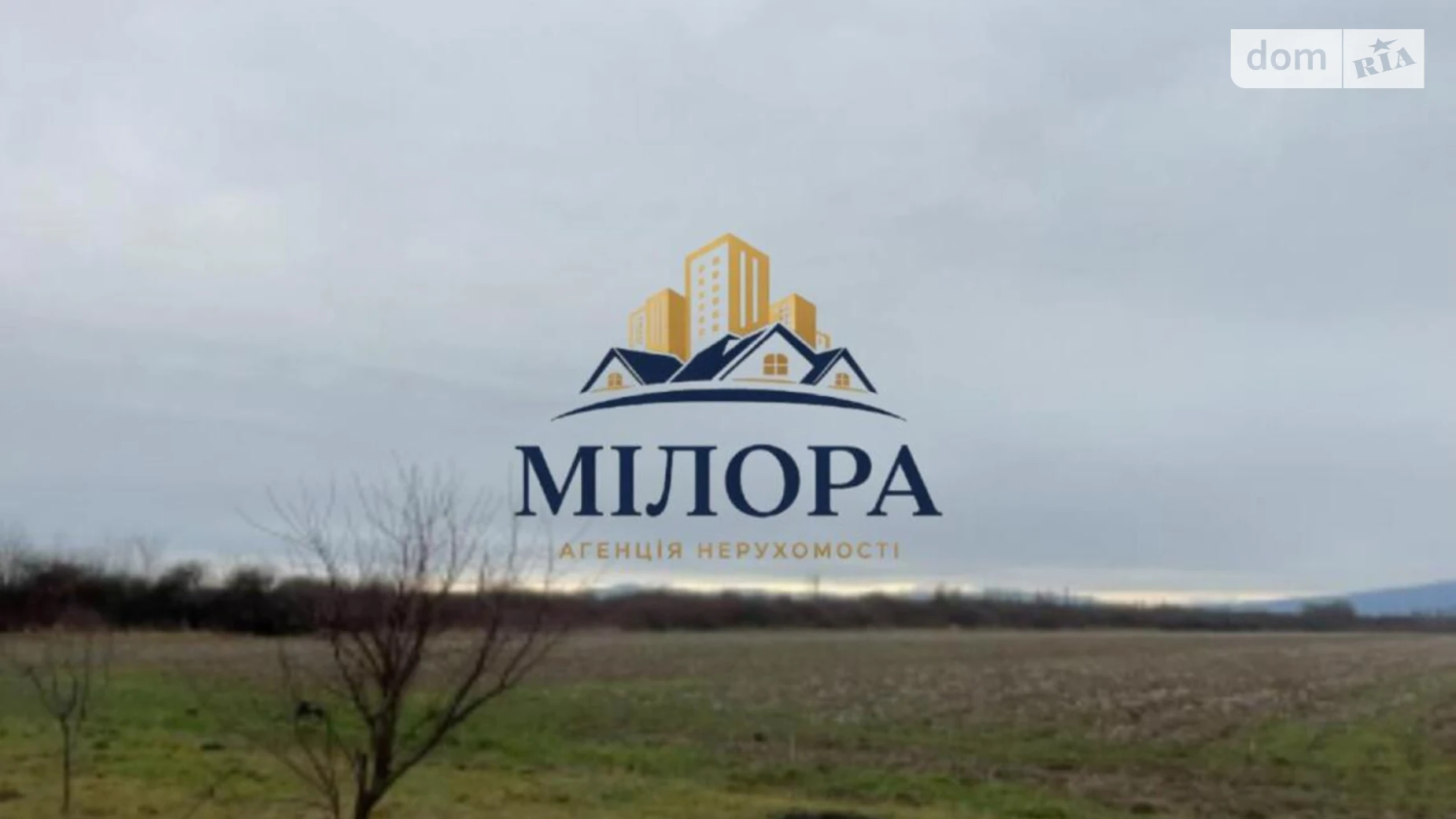 Тарновцы, цена: 250000 $ - фото 3