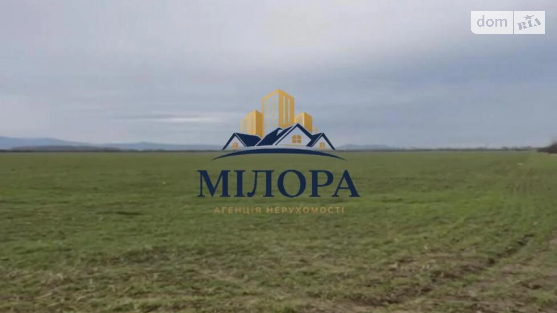 Тарновцы, цена: 250000 $ - фото 2