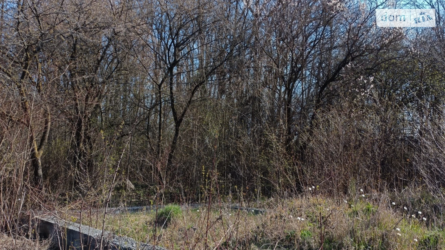 Ружичанка, цена: 20000 $ - фото 3