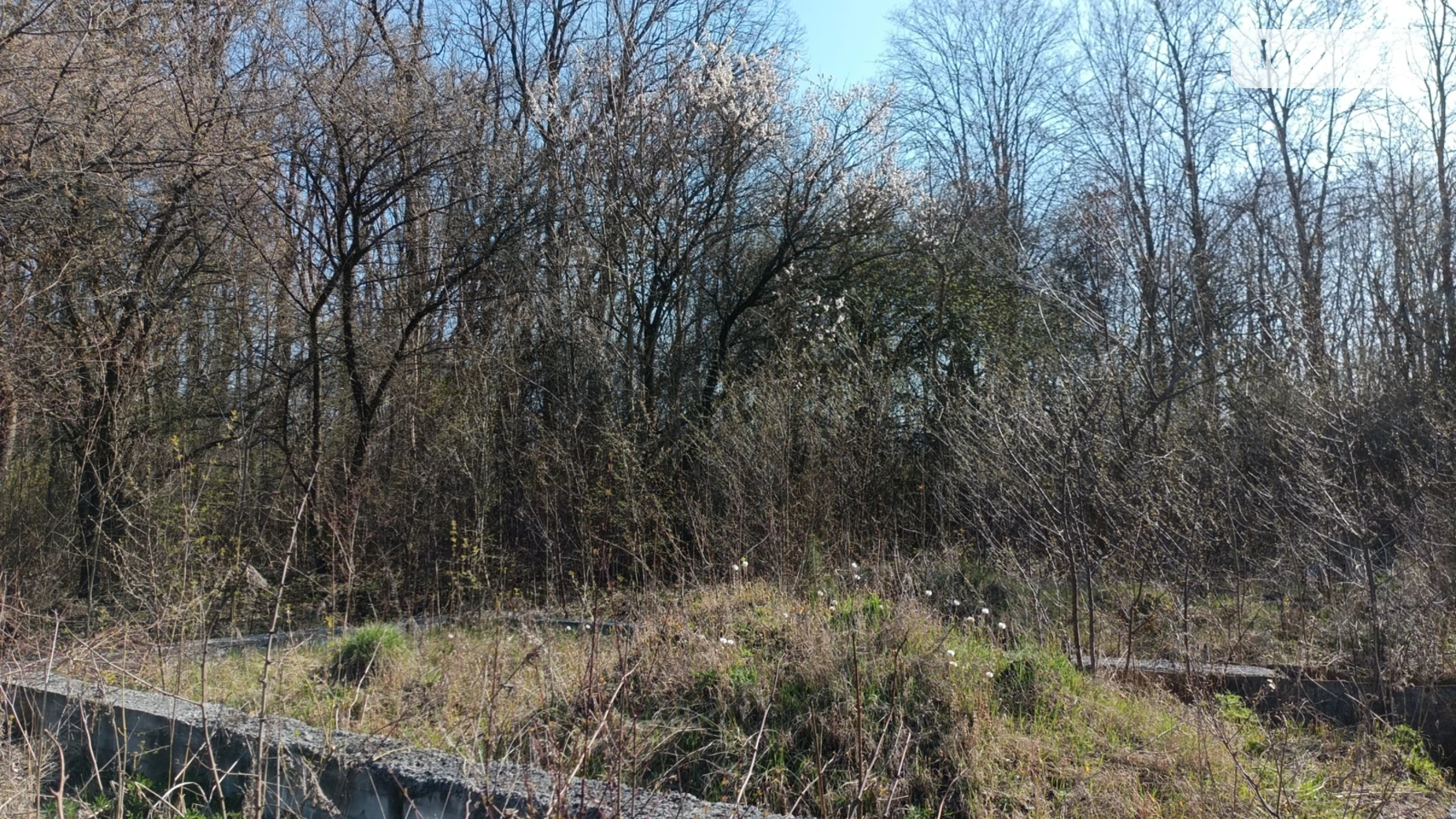 Ружичанка, цена: 20000 $ - фото 2