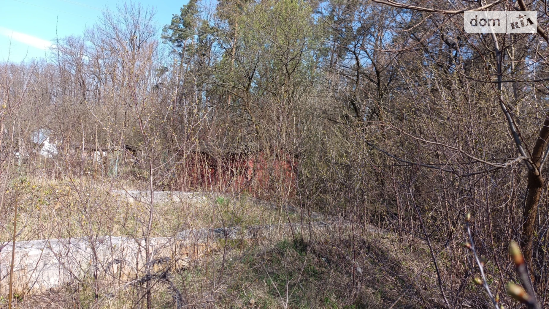 Ружичанка, цена: 20000 $ - фото 4