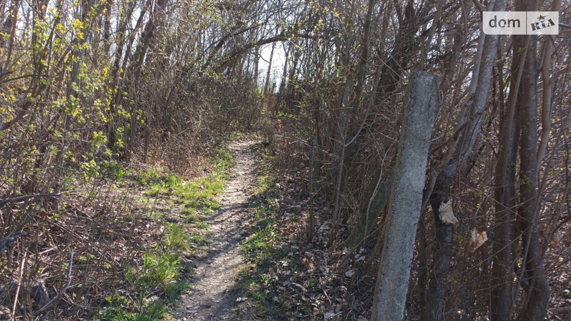 Ружичанка, цена: 20000 $ - фото 5