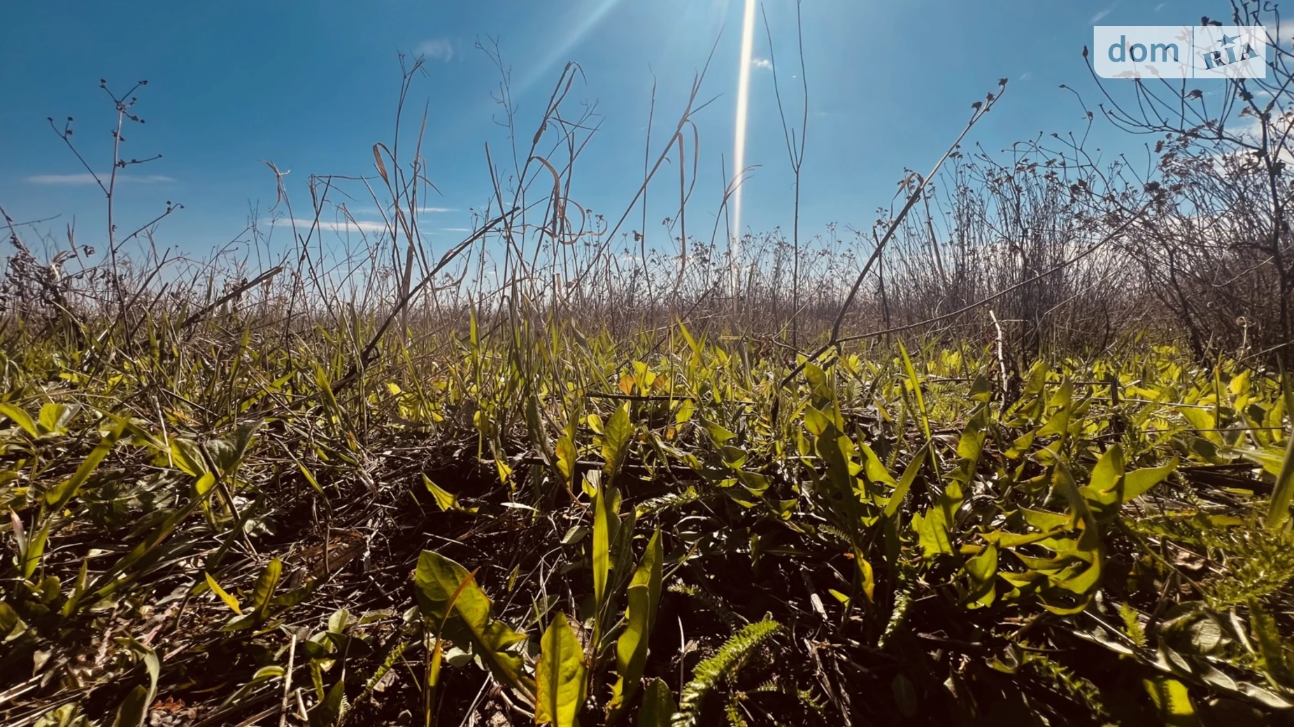 Широкая Гребля (Винница), цена: 1200000 $ - фото 2