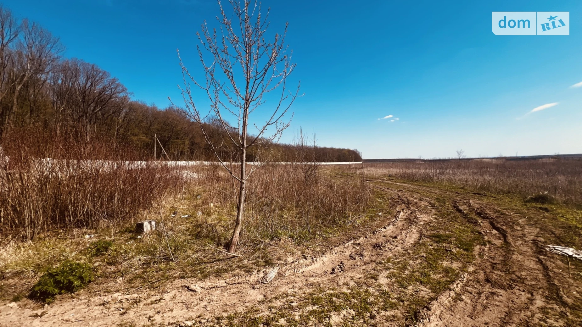 Широкая Гребля (Винница), цена: 1200000 $ - фото 4