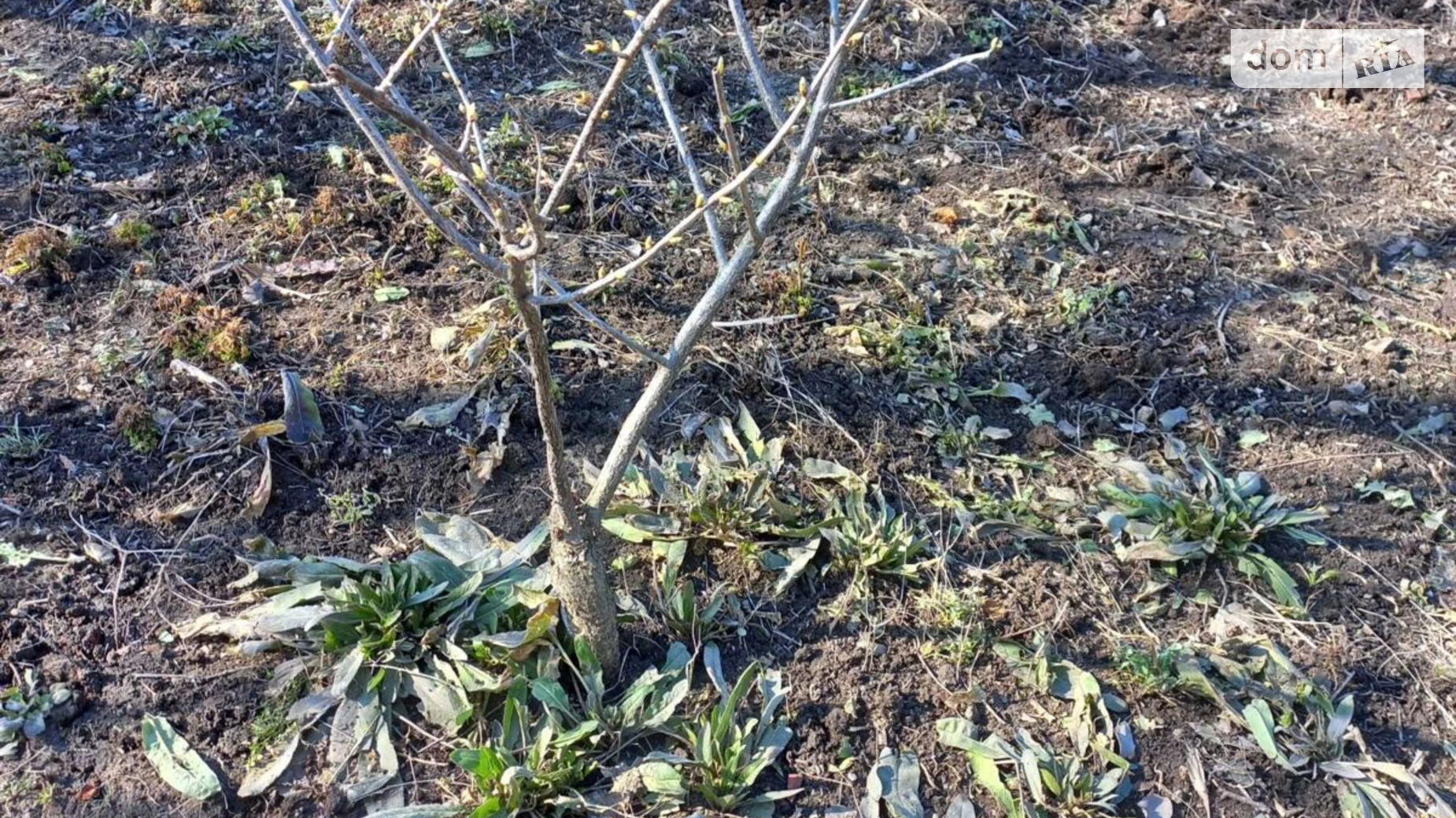 Продается одноэтажный дом 28.6 кв. м с подвалом, цена: 13500 $ - фото 5