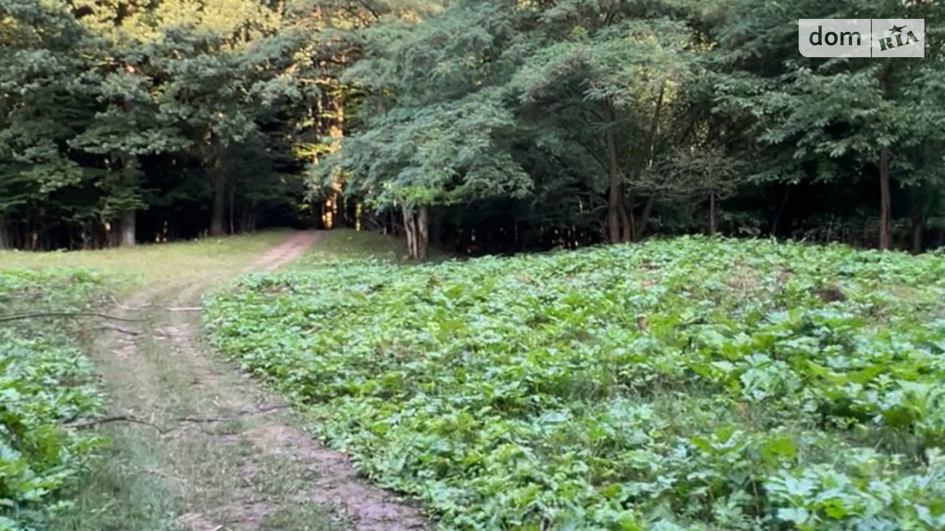 Продається земельна ділянка 22 соток у Хмельницькій області, цена: 22000 $ - фото 5