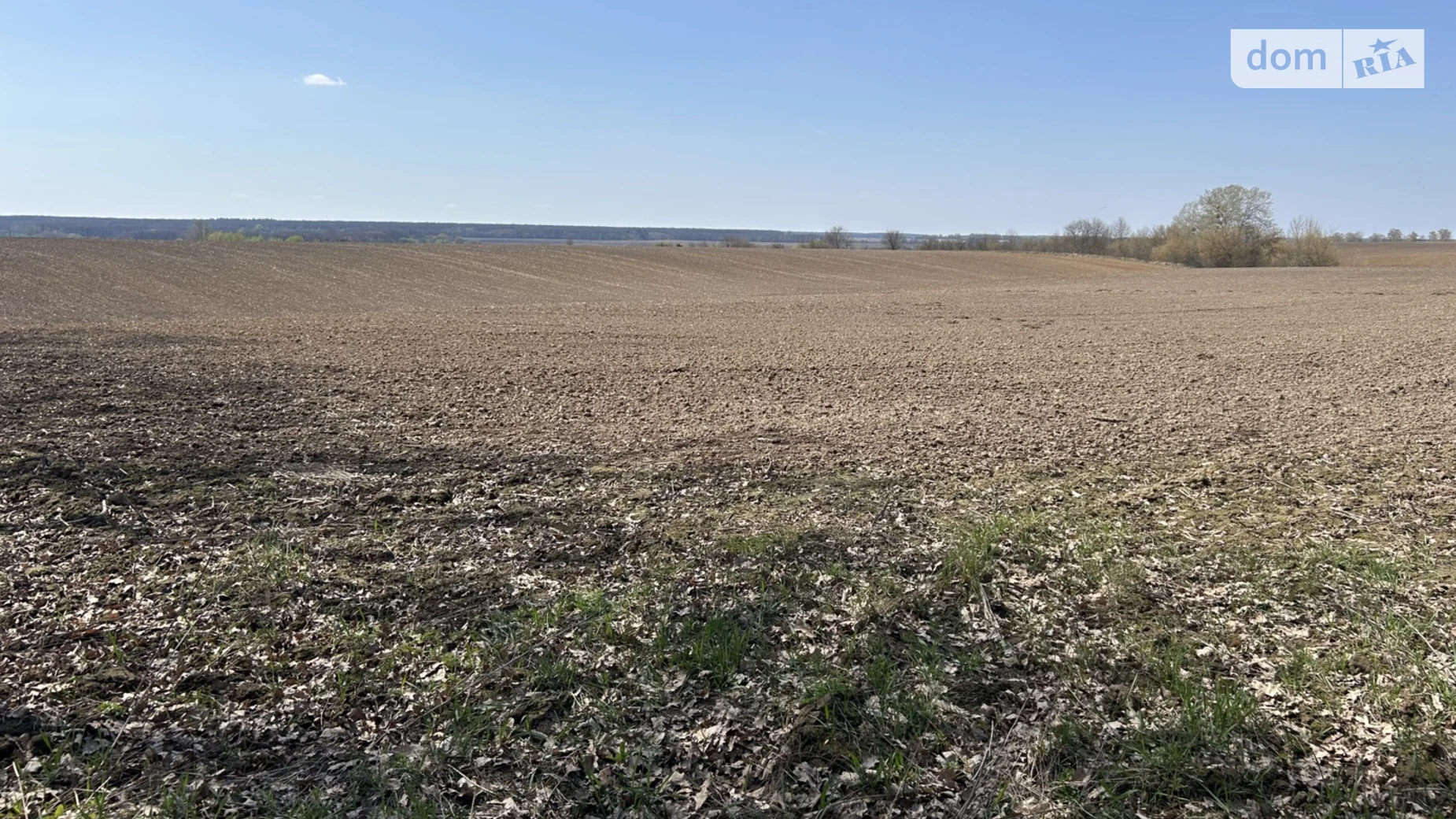 Хмельницкое шоссе Якушинцы, цена: 750000 $ - фото 2