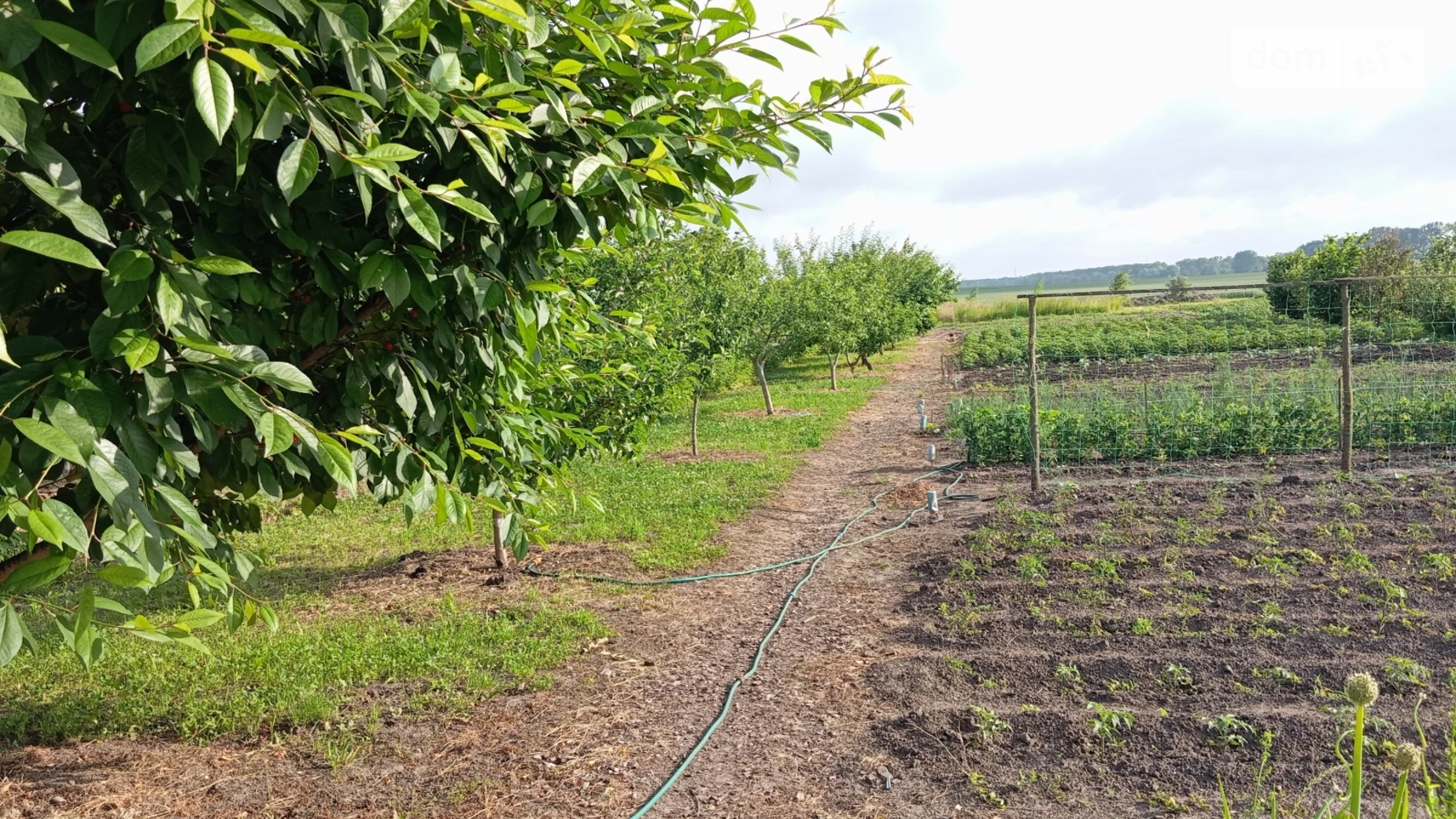 вулиця Іванківська Любарцы, цена: 30000 $ - фото 5