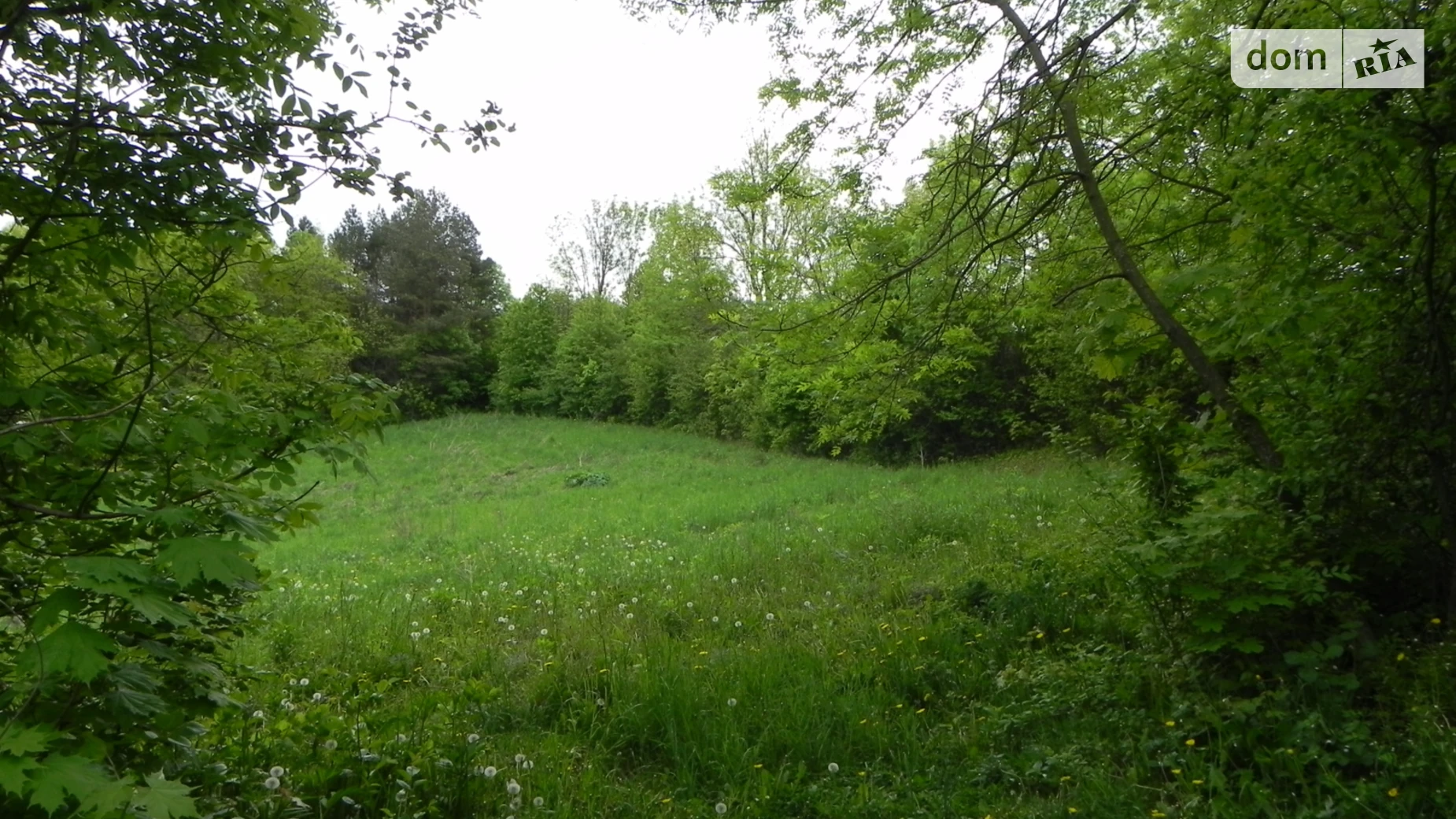 Продается земельный участок 0.25 соток в Хмельницкой области, цена: 25000 $ - фото 2