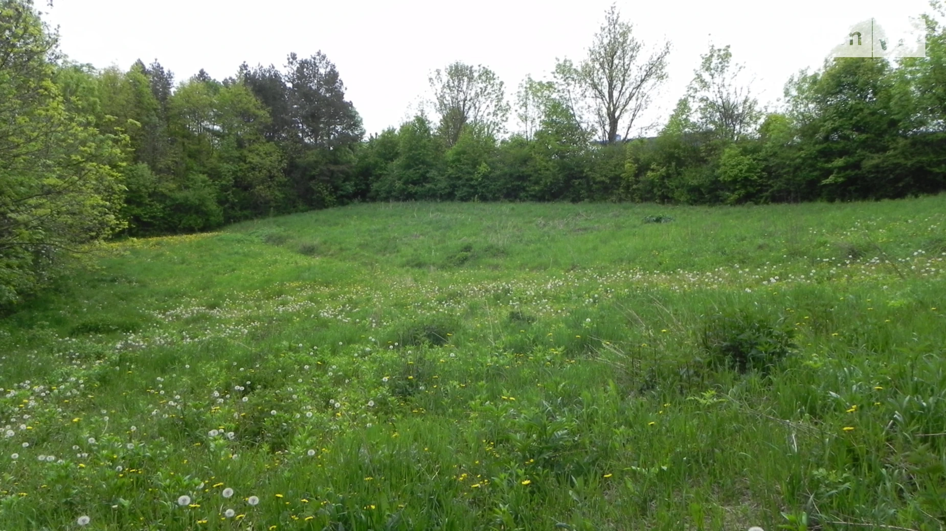 Продается земельный участок 0.25 соток в Хмельницкой области, цена: 25000 $ - фото 3