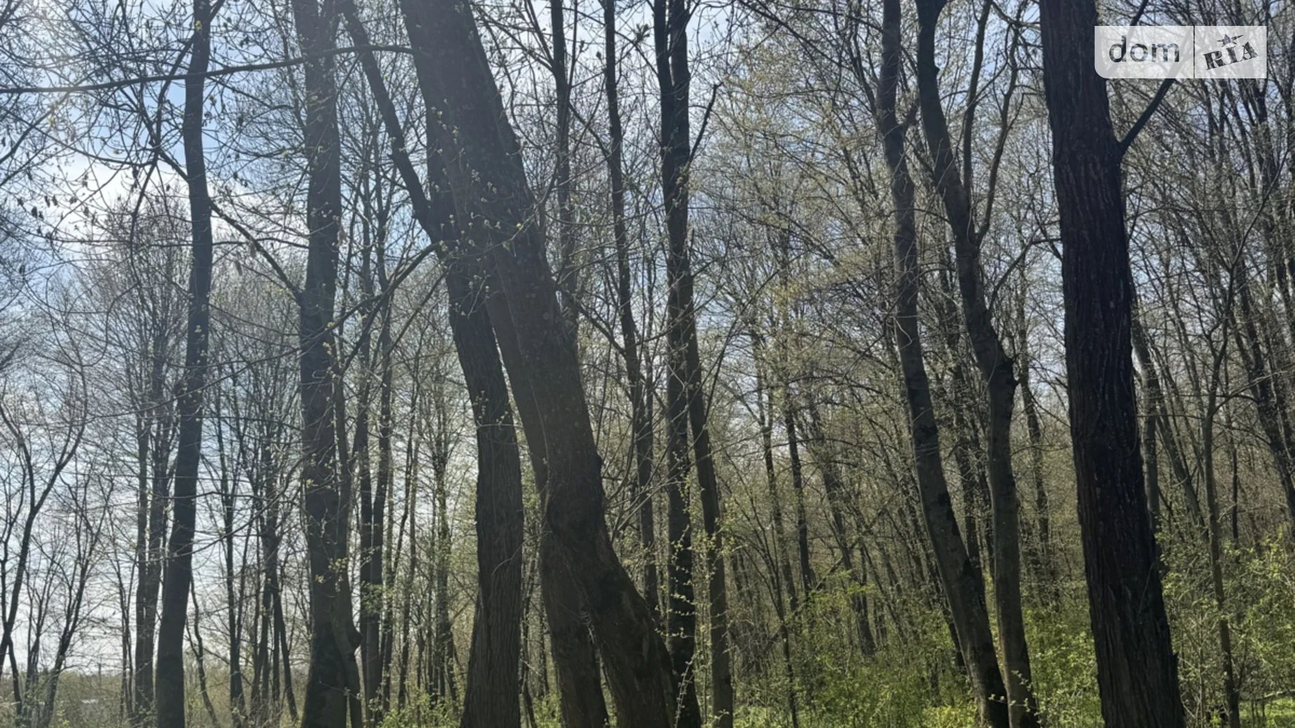 Продается земельный участок 12 соток в Хмельницкой области, цена: 14000 $ - фото 3
