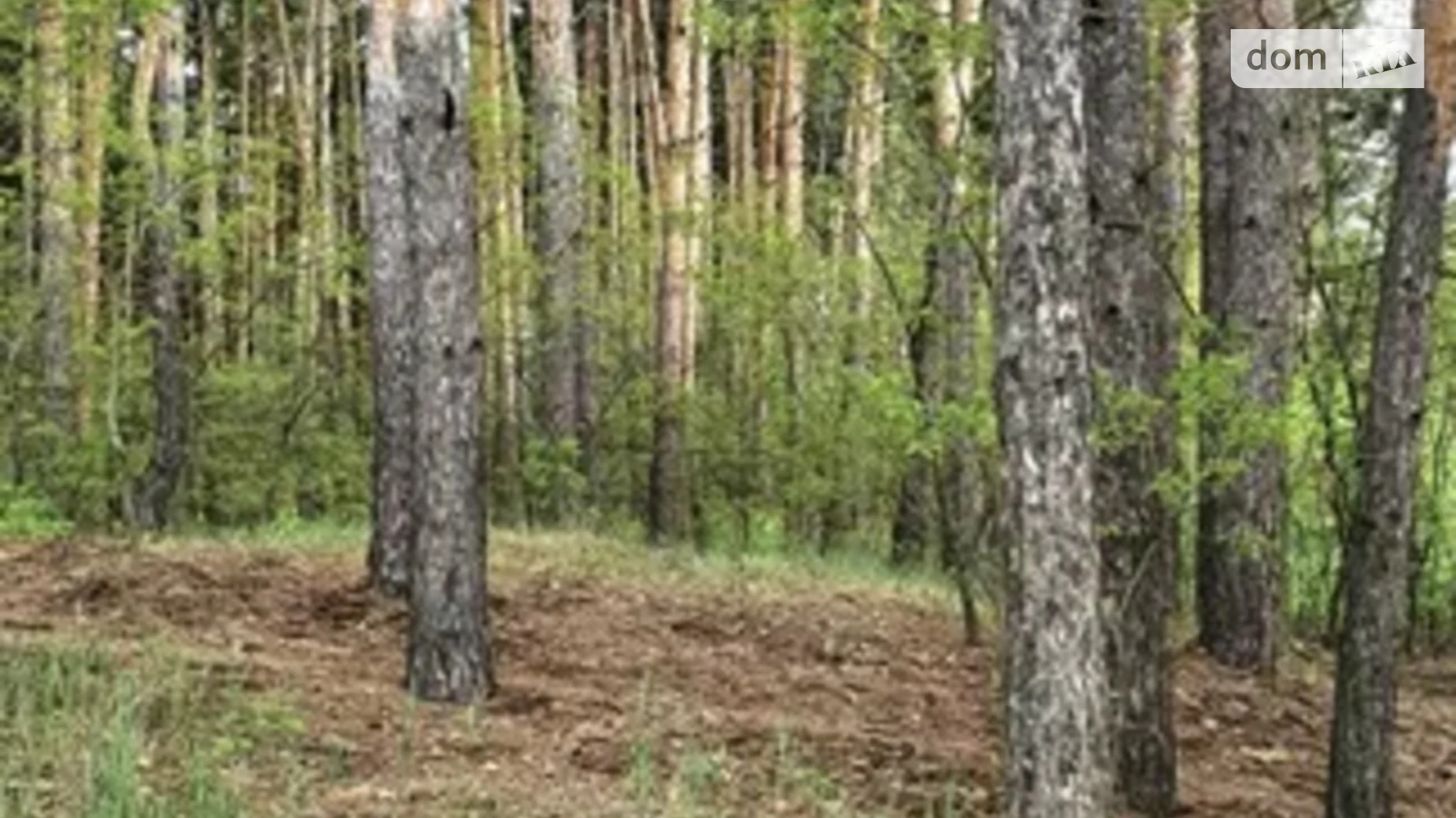 Продается земельный участок 16 соток в Киевской области, цена: 33000 $ - фото 3