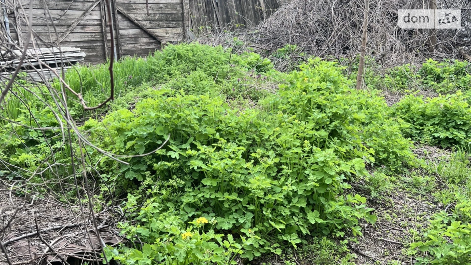 ул. Химическая Слободка Одесса, цена: 30000 $ - фото 4