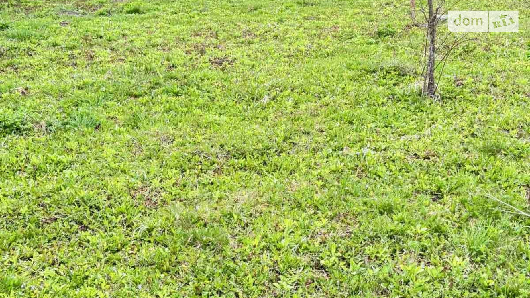 Продается земельный участок 5 соток в Хмельницкой области, цена: 5000 $ - фото 3