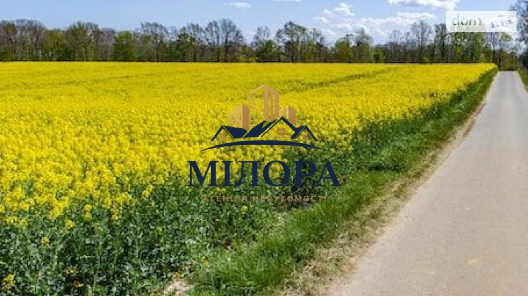 Продается земельный участок 14.47 соток в Закарпатской области, цена: 10000 $ - фото 3