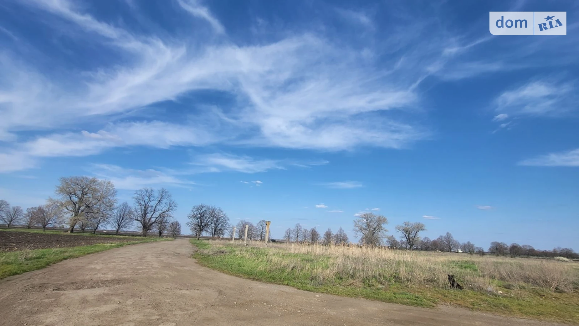 Сдается в аренду земельный участок 1.4 соток в Днепропетровской области, цена: 280445 грн - фото 2