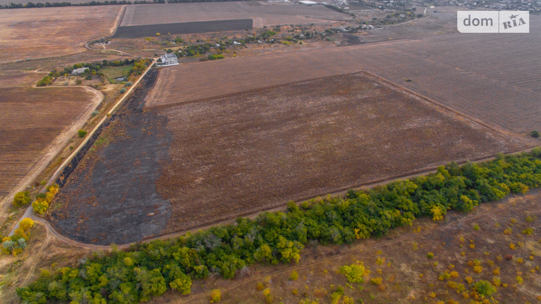 Нерубайское, цена: 55000000 грн - фото 5