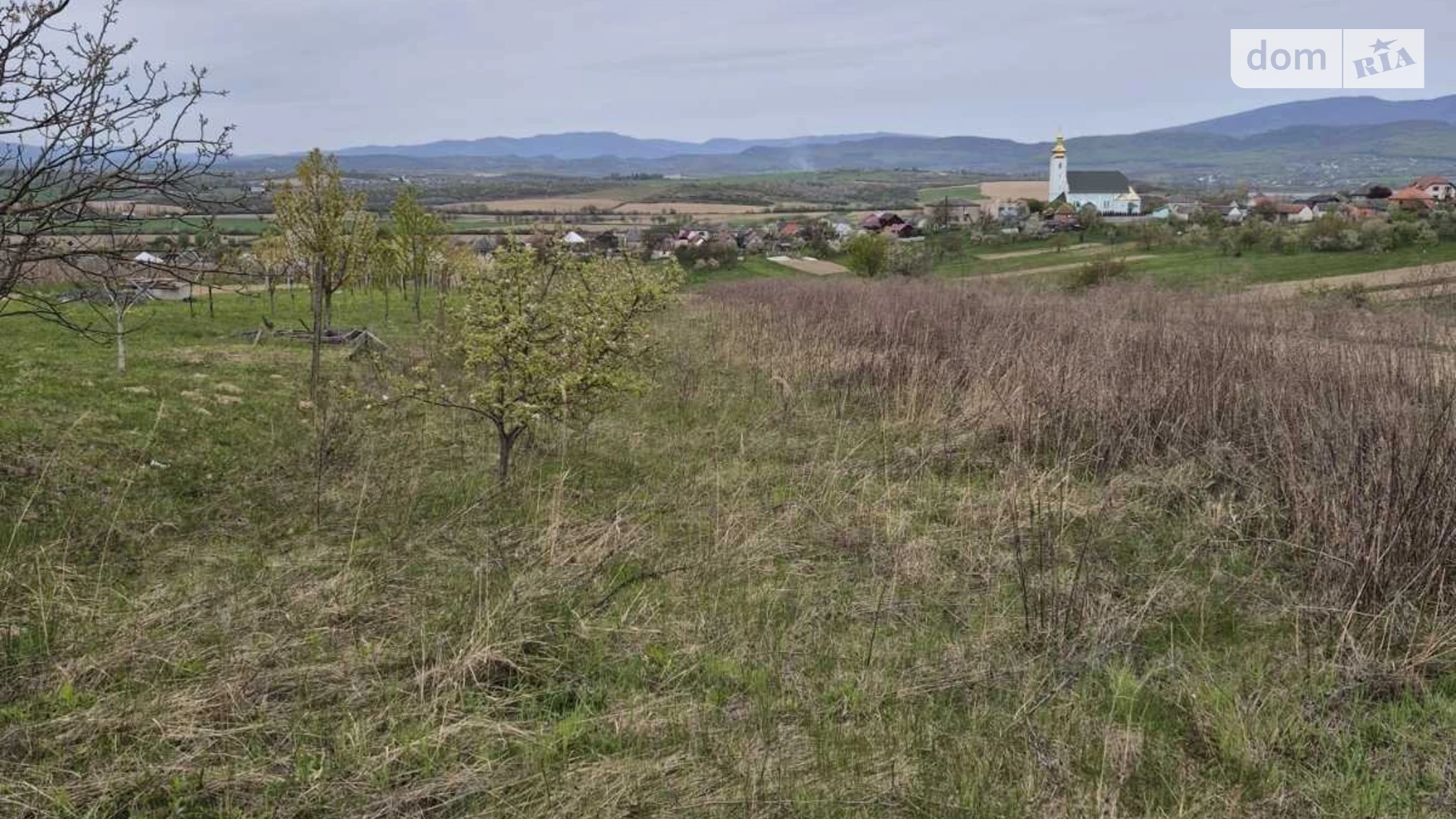 Продается земельный участок 22.67 соток в Закарпатской области, цена: 20000 $ - фото 2