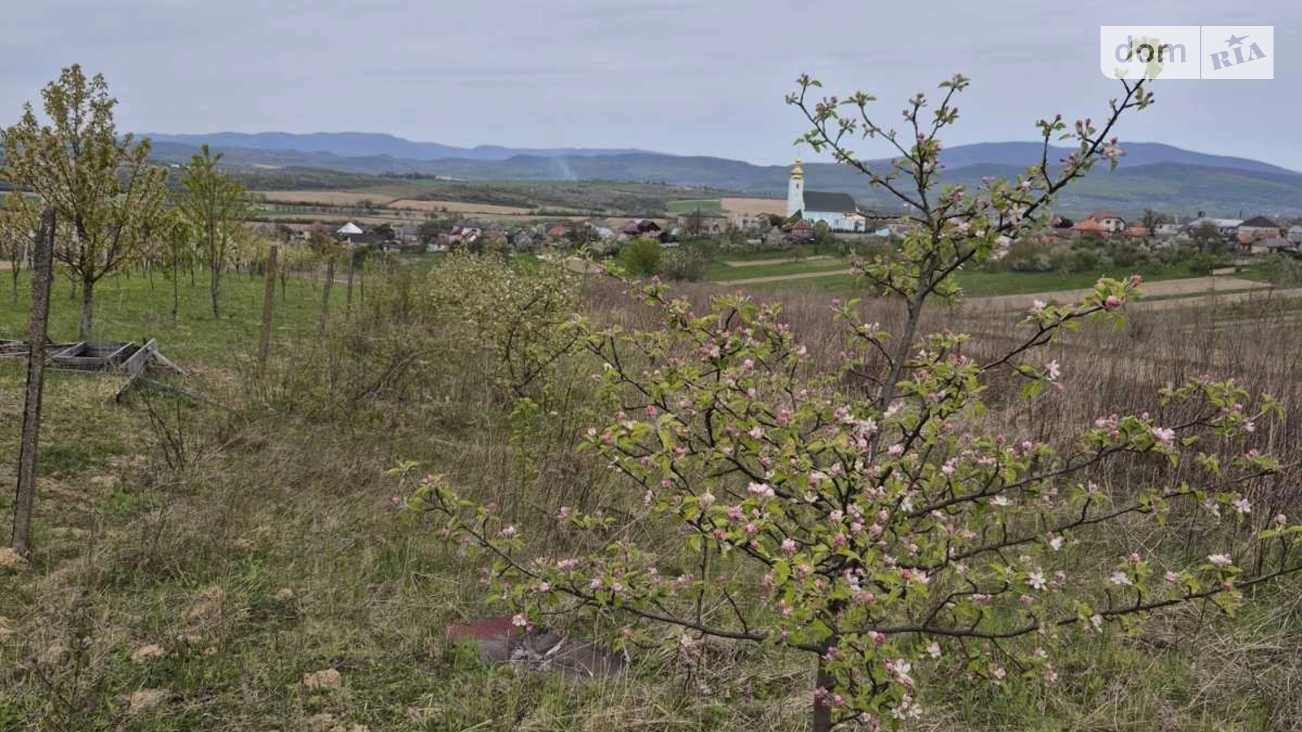 Продается земельный участок 22.67 соток в Закарпатской области, цена: 20000 $ - фото 3