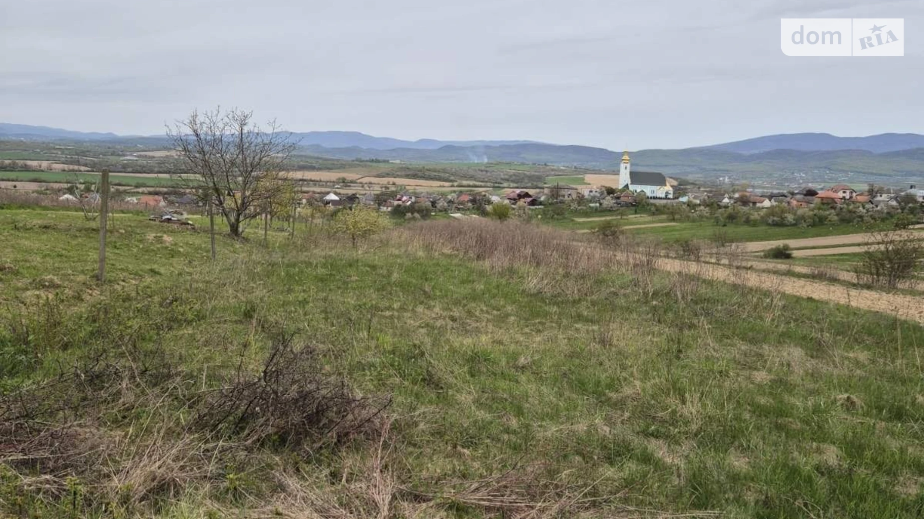 Продается земельный участок 22.67 соток в Закарпатской области, цена: 20000 $ - фото 5