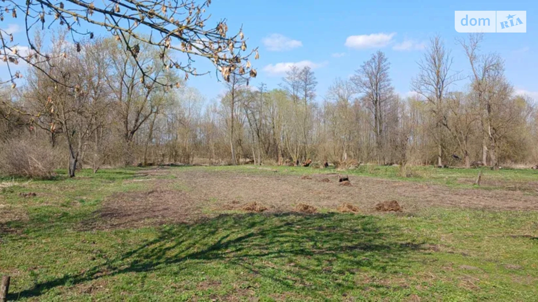 вул. Лесі Українки Велика Білина, цена: 5500 $ - фото 5