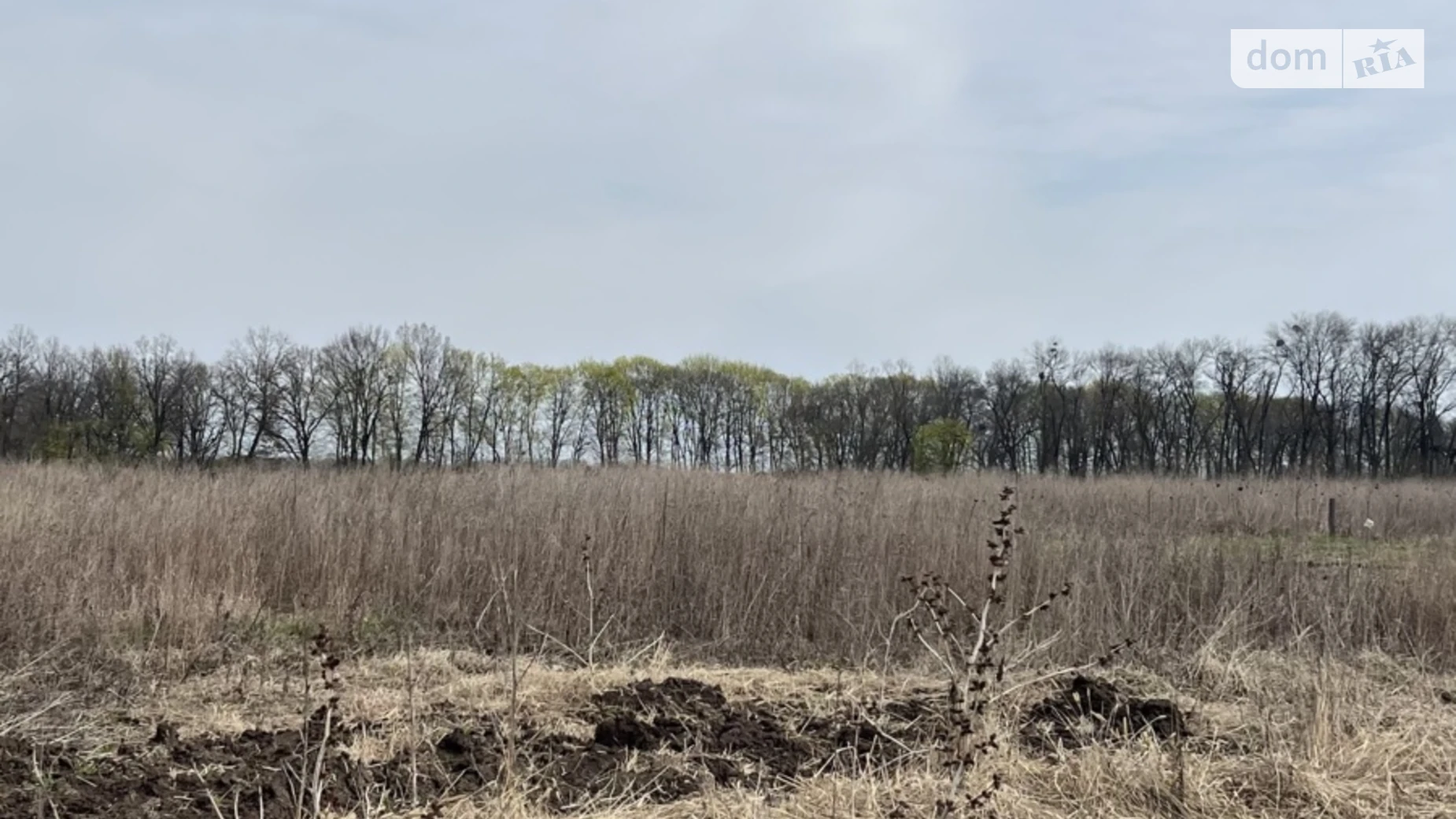 Продается земельный участок 20 соток в Винницкой области, цена: 120000 $ - фото 5