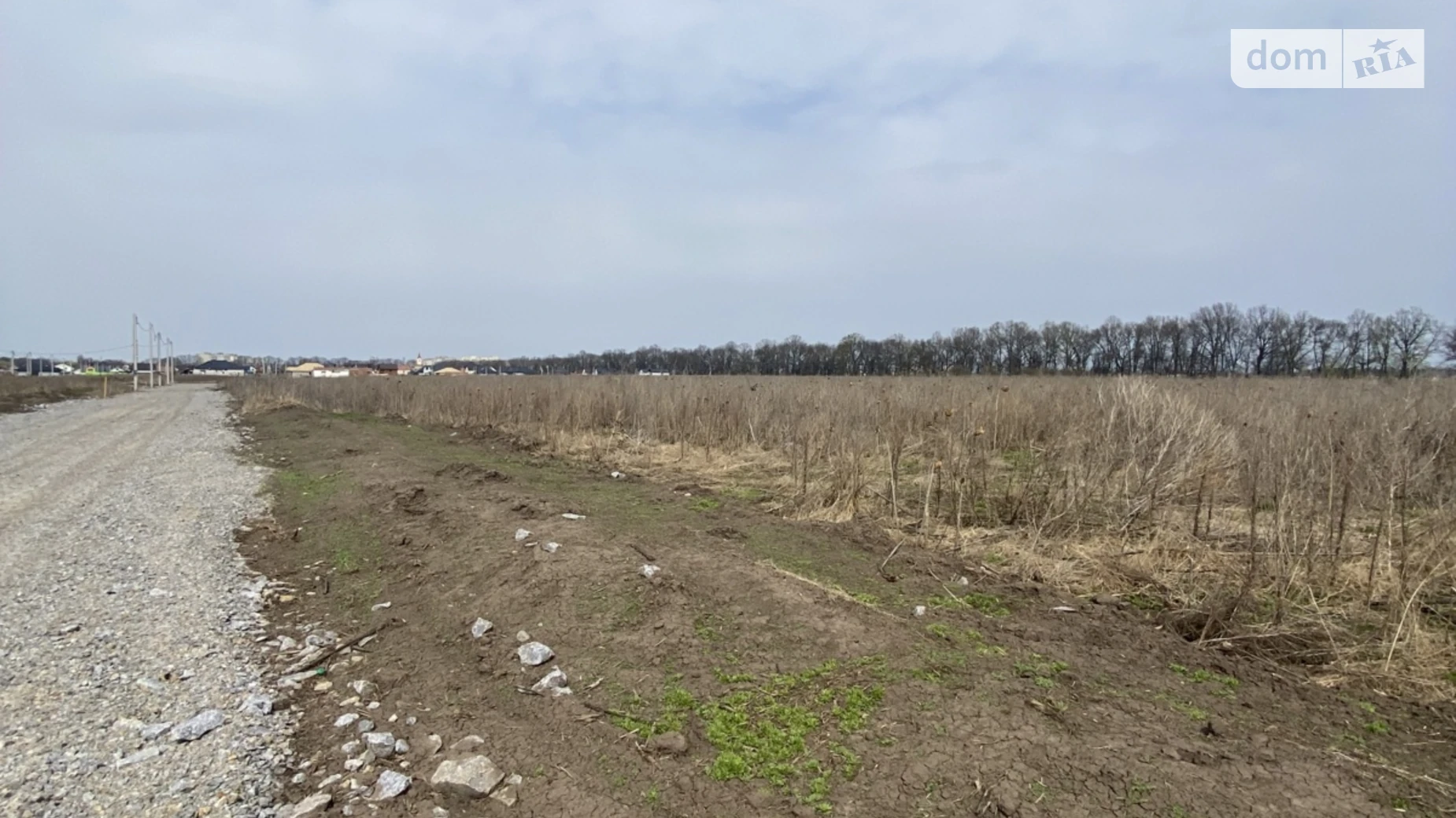 Продается земельный участок 20 соток в Винницкой области, цена: 120000 $ - фото 3