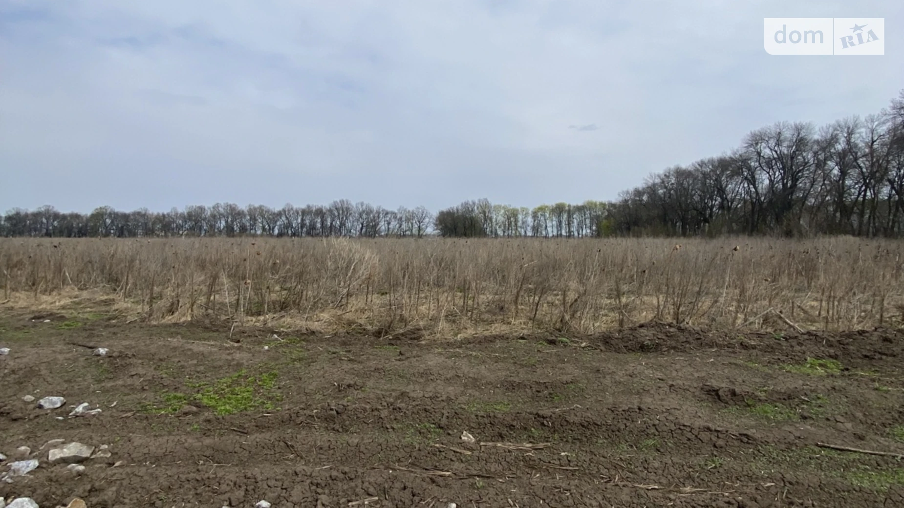 Продается земельный участок 20 соток в Винницкой области, цена: 120000 $ - фото 4