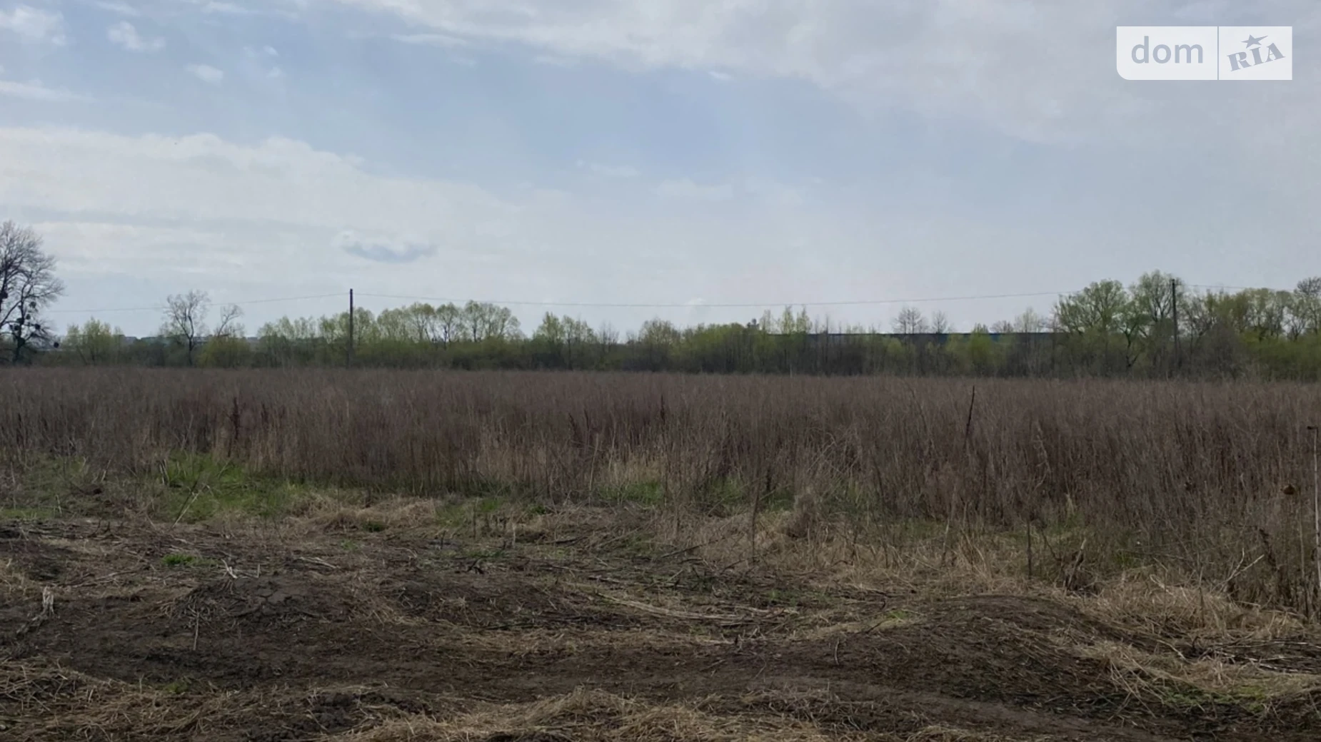 Продается земельный участок 20 соток в Винницкой области, цена: 120000 $ - фото 5