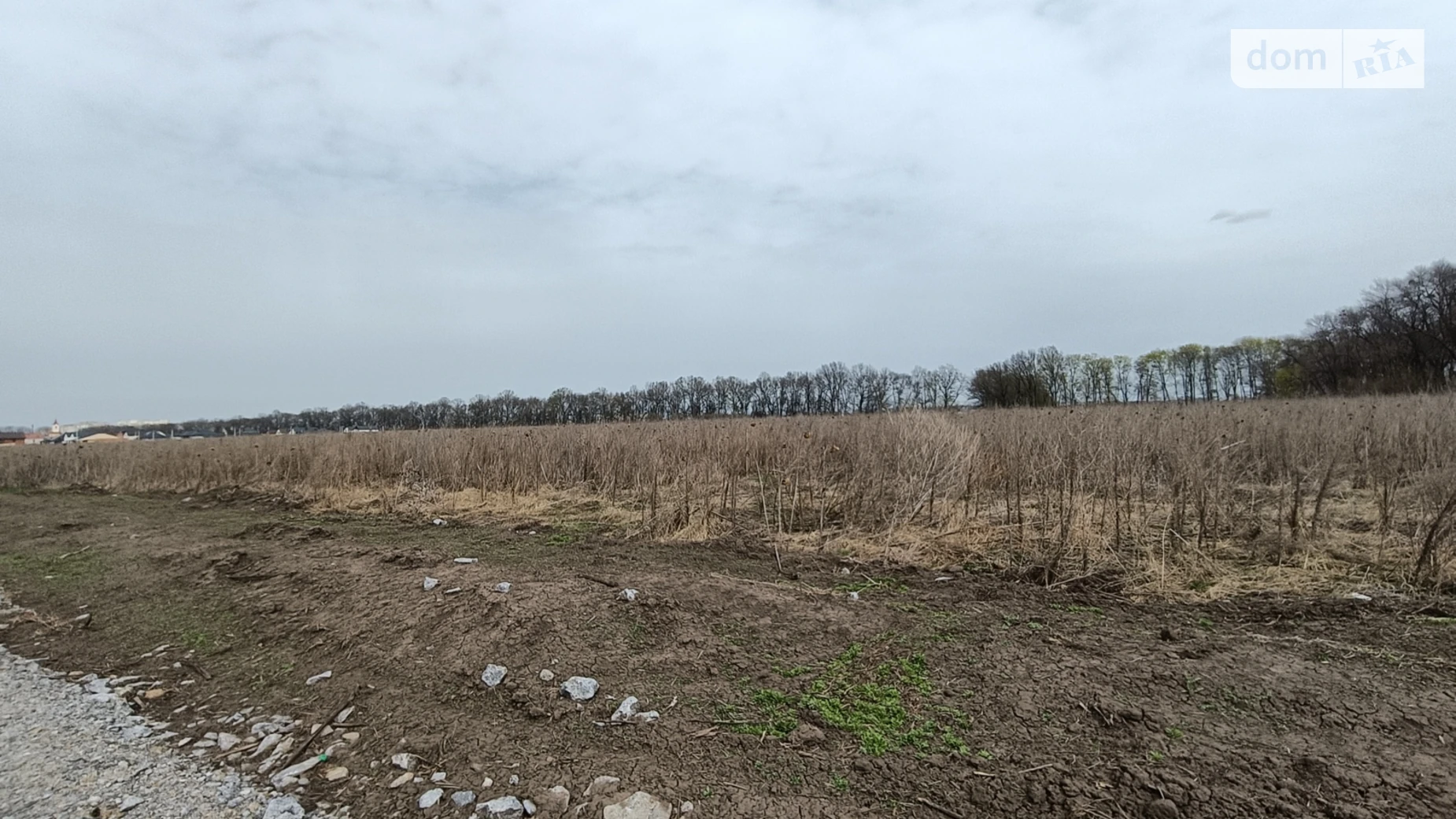 Продается земельный участок 20 соток в Винницкой области, цена: 120000 $ - фото 4