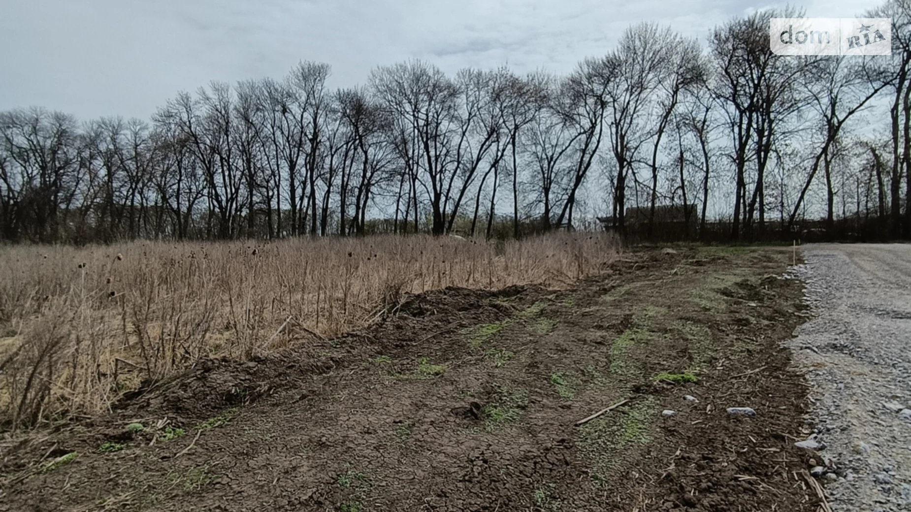 Продается земельный участок 20 соток в Винницкой области, цена: 120000 $ - фото 5