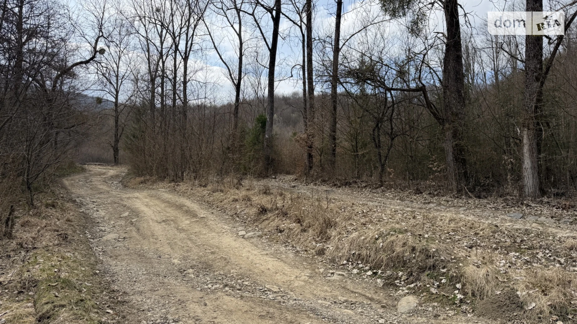 Продается земельный участок 10.5 соток в Закарпатской области, цена: 12000 $ - фото 2