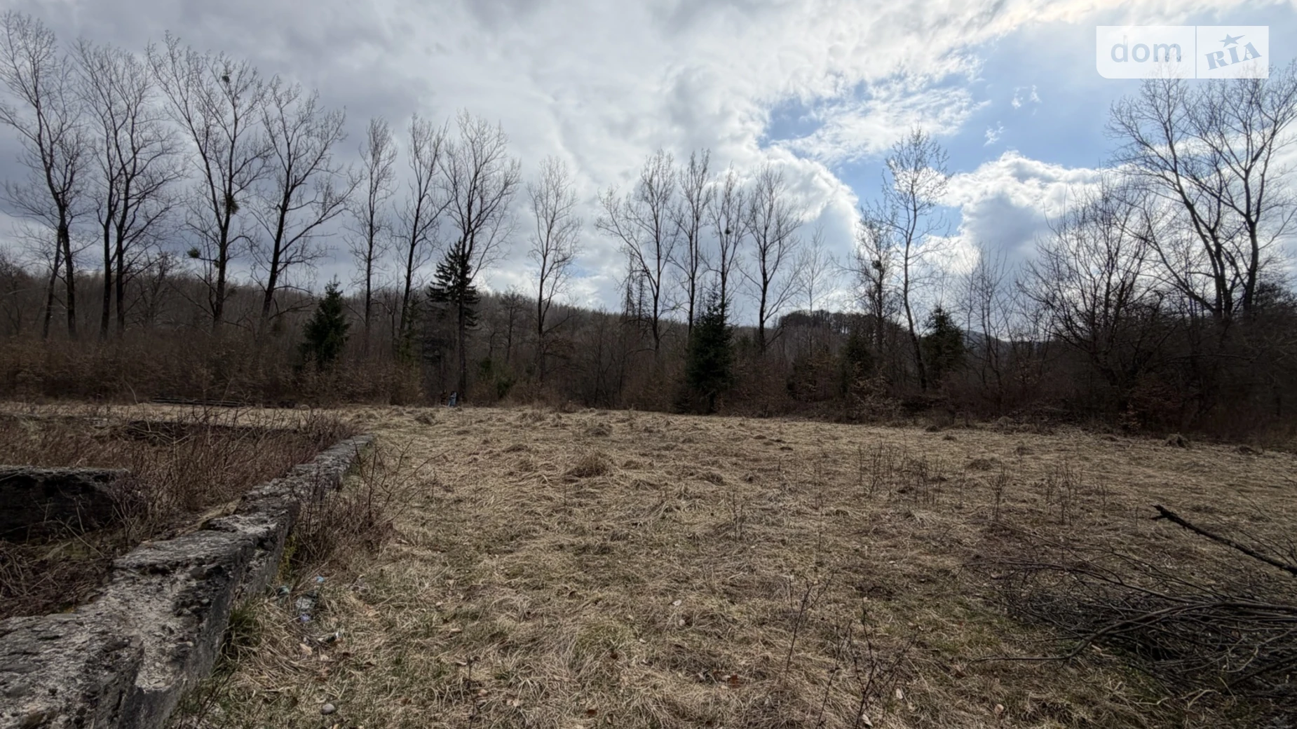 Продается земельный участок 10.5 соток в Закарпатской области, цена: 12000 $ - фото 3