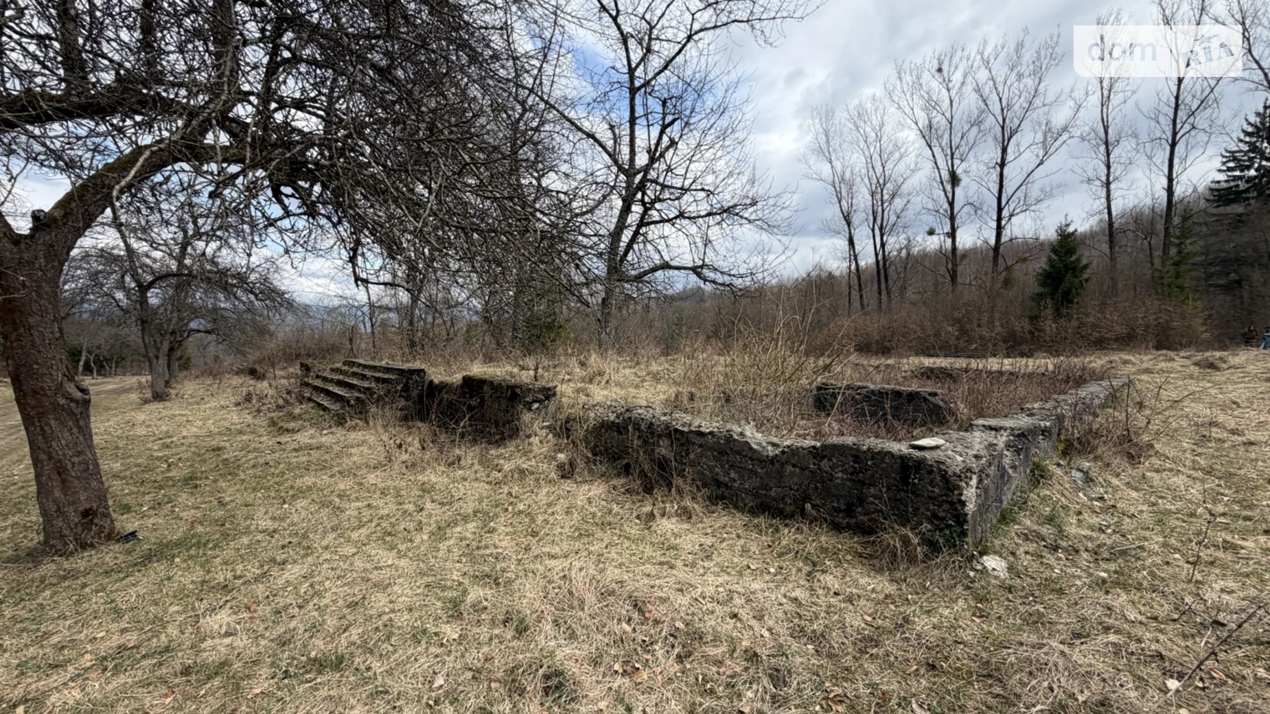 Продается земельный участок 10.5 соток в Закарпатской области, цена: 12000 $ - фото 4