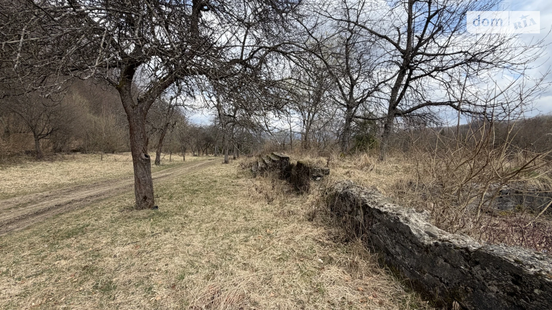 Продается земельный участок 10.5 соток в Закарпатской области, цена: 12000 $ - фото 5