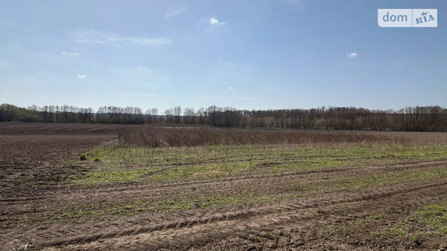 Продается земельный участок 108 соток в Хмельницкой области, цена: 70000 $ - фото 5