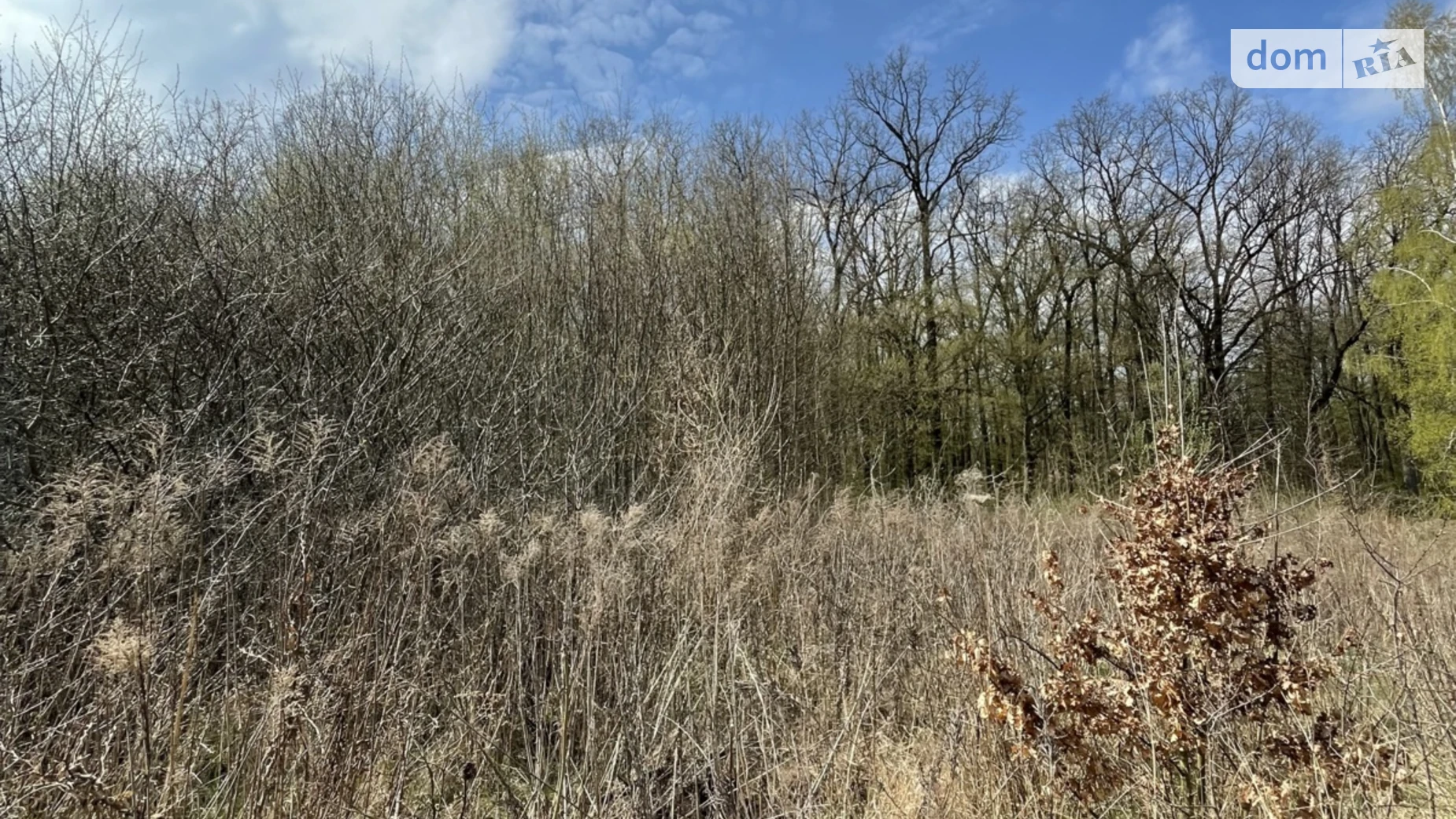 Продается земельный участок 8 соток в Хмельницкой области, цена: 8000 $ - фото 3