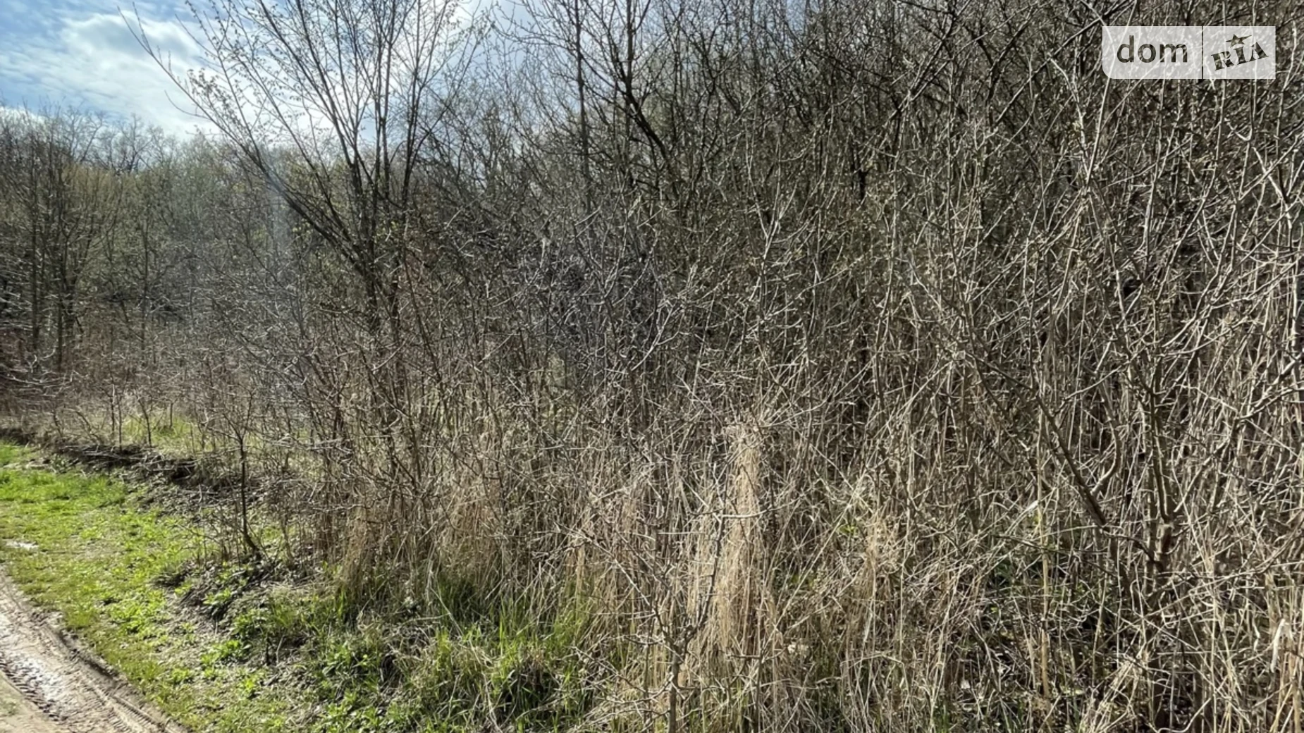 Продается земельный участок 8 соток в Хмельницкой области, цена: 8000 $ - фото 4