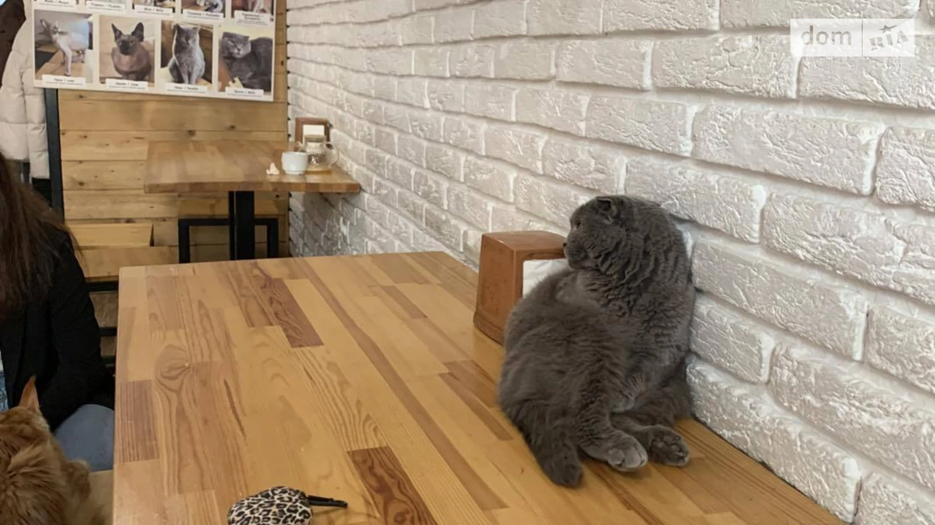 Продается помещения свободного назначения 138 кв. м в 4-этажном здании, цена: 390000 $ - фото 4