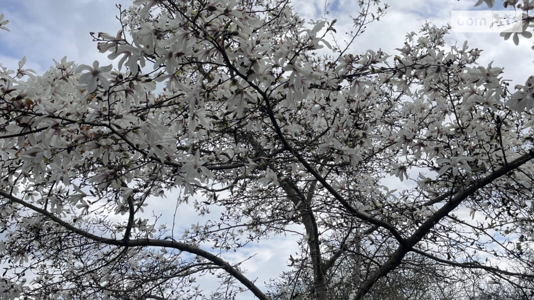 ул. Казацкий шлях(Ленина) Вороновица, цена: 30000 $ - фото 4