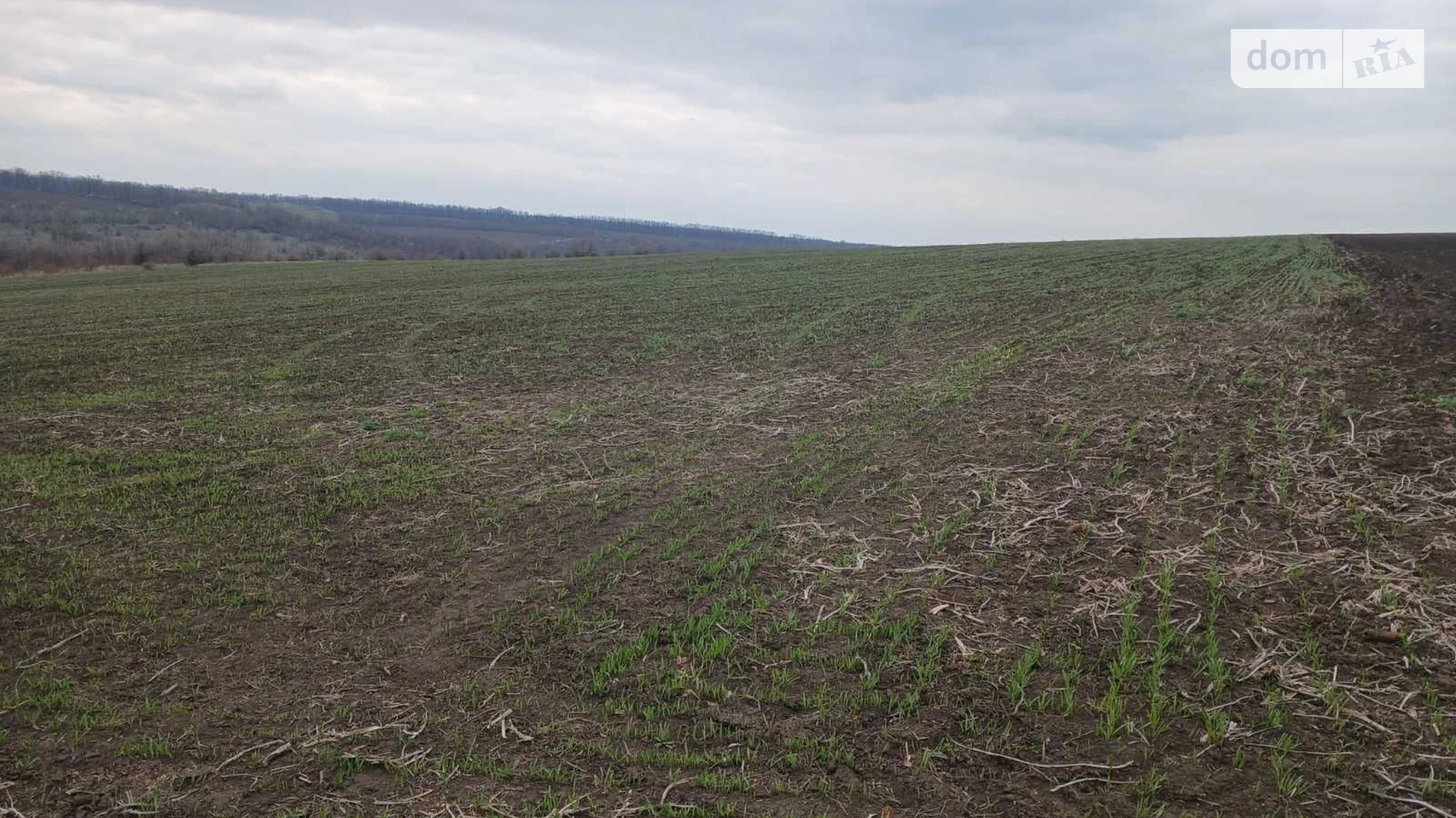 Качківка, цена: 81875 грн - фото 2