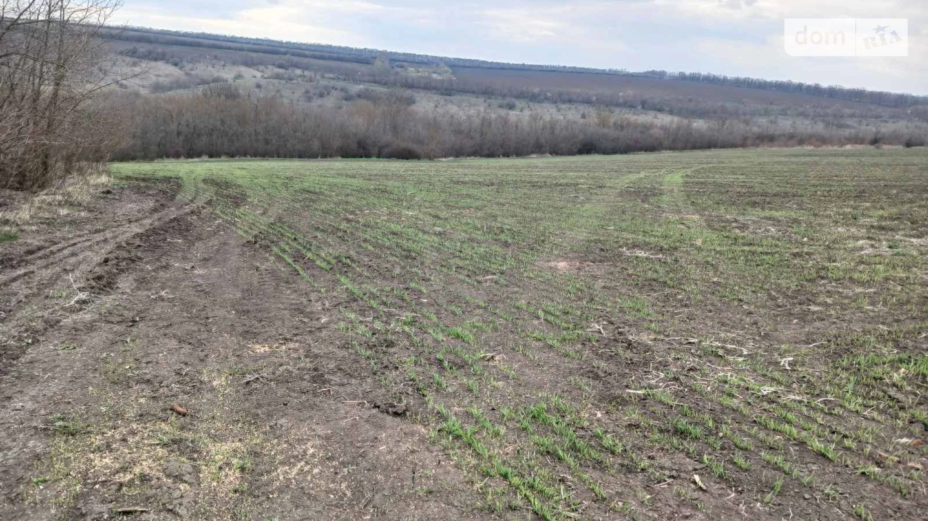 Качківка, цена: 81875 грн - фото 3