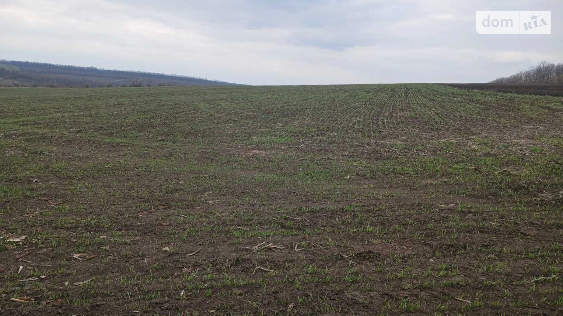 Качківка, цена: 81875 грн - фото 4