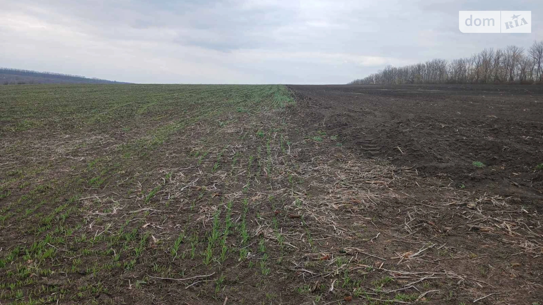 Качківка, цена: 81875 грн - фото 5