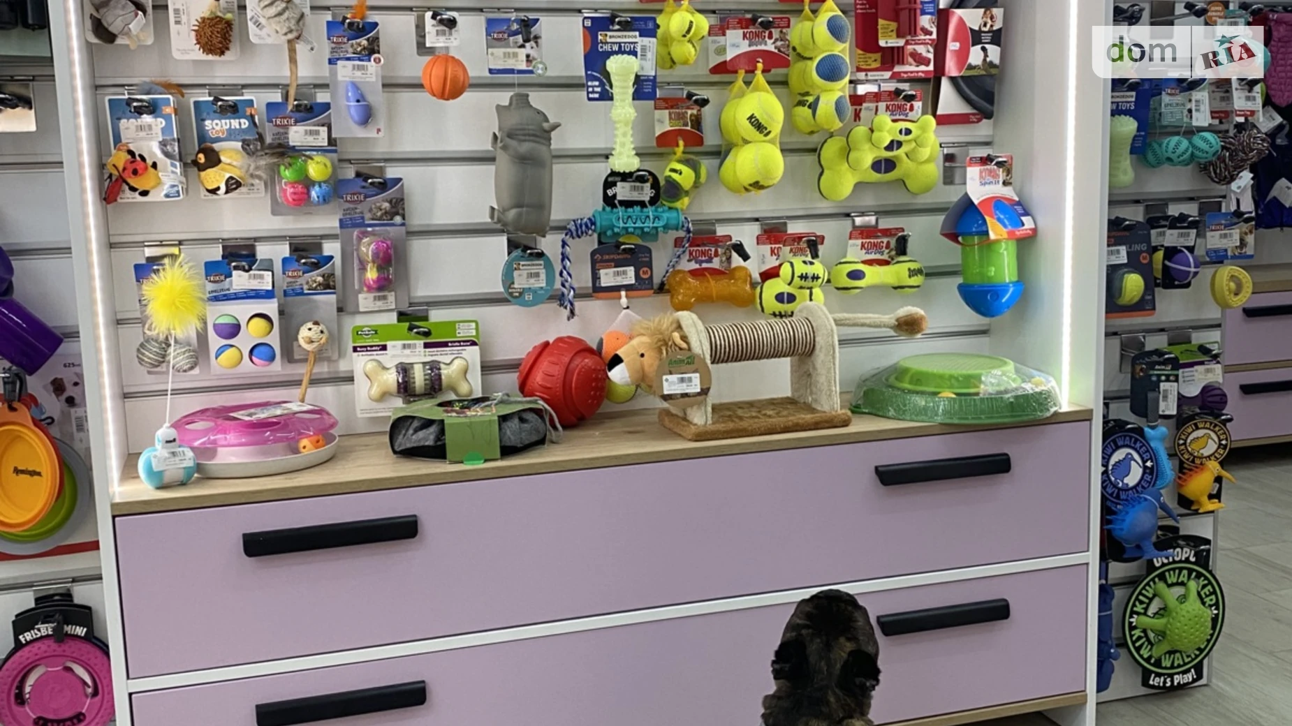 Продается объект сферы услуг 100 кв. м в 16-этажном здании, цена: 850000 € - фото 5